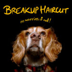 Breakup Haircut: No Worries If Not!