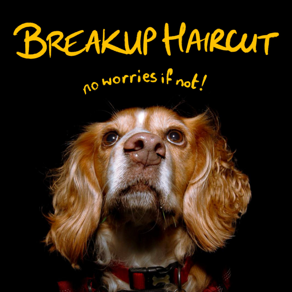 Breakup Haircut: No Worries If Not!