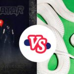 Better 2025 Album - 'Don't Go in the Forest' vs. 'private music'