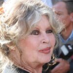 French cinema icon Brigitte Bardot dies aged 91