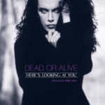 Dead Or Alive: Here's Looking At You