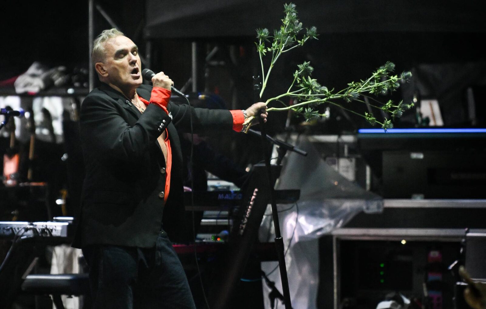 Morrissey cancels two California shows due to "adverse reaction" to prescription medication