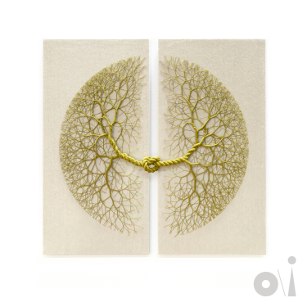 Peter Gabriel new album