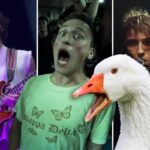 What to Know About Rock Bands Goose, Geese + Silly Goose