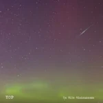 Yop: In Vile Viciousness - EP Review