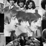 20 Fab Beatles Covers From 1966