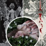 5 Amazing Black Metal Albums You Might’ve Missed in 2025