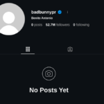 Bad Bunny Wipes Instagram Following Super Bowl Halftime Show