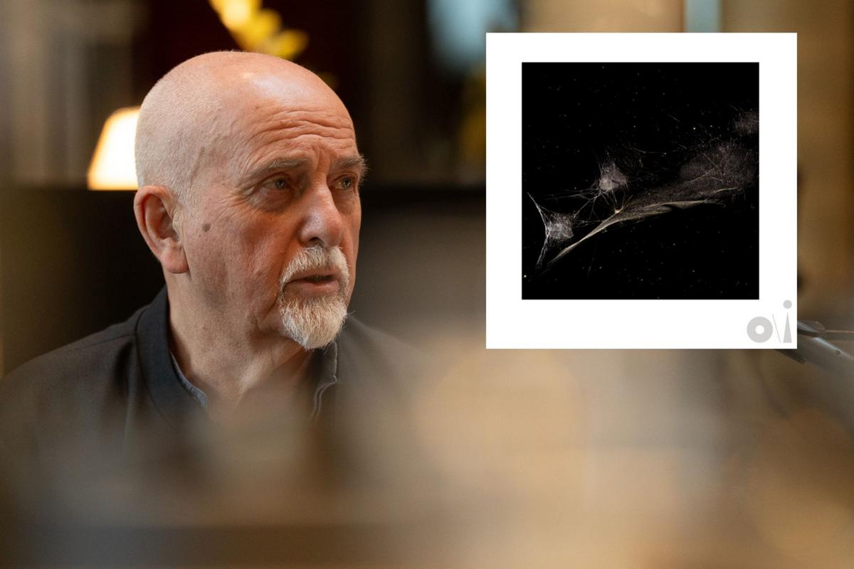 Listen to Peter Gabriel's New Song 'Put Down the Bucket'