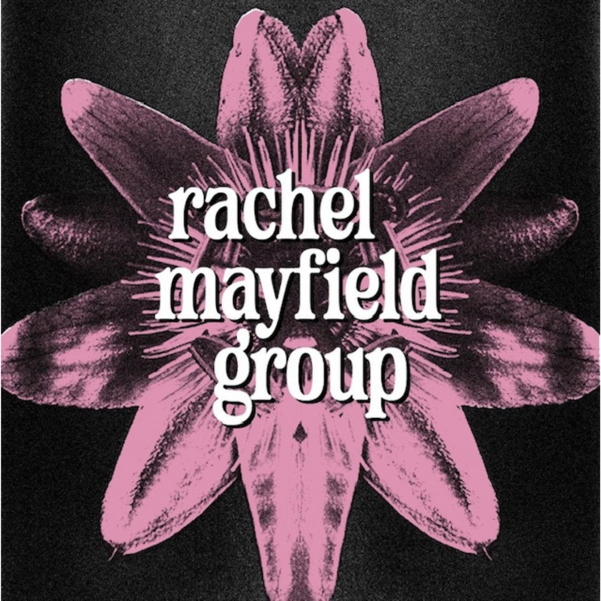 Rachel Mayfield Group: History Aligned