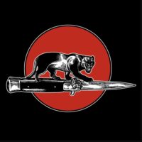 Jim Jones All Stars | Cat Fight