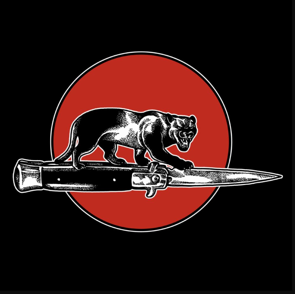 Jim Jones All Stars | Cat Fight