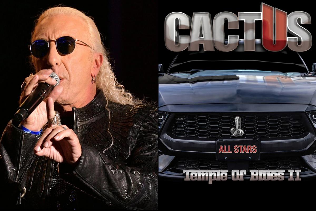 Listen to the New Cactus Single Featuring Dee Snider