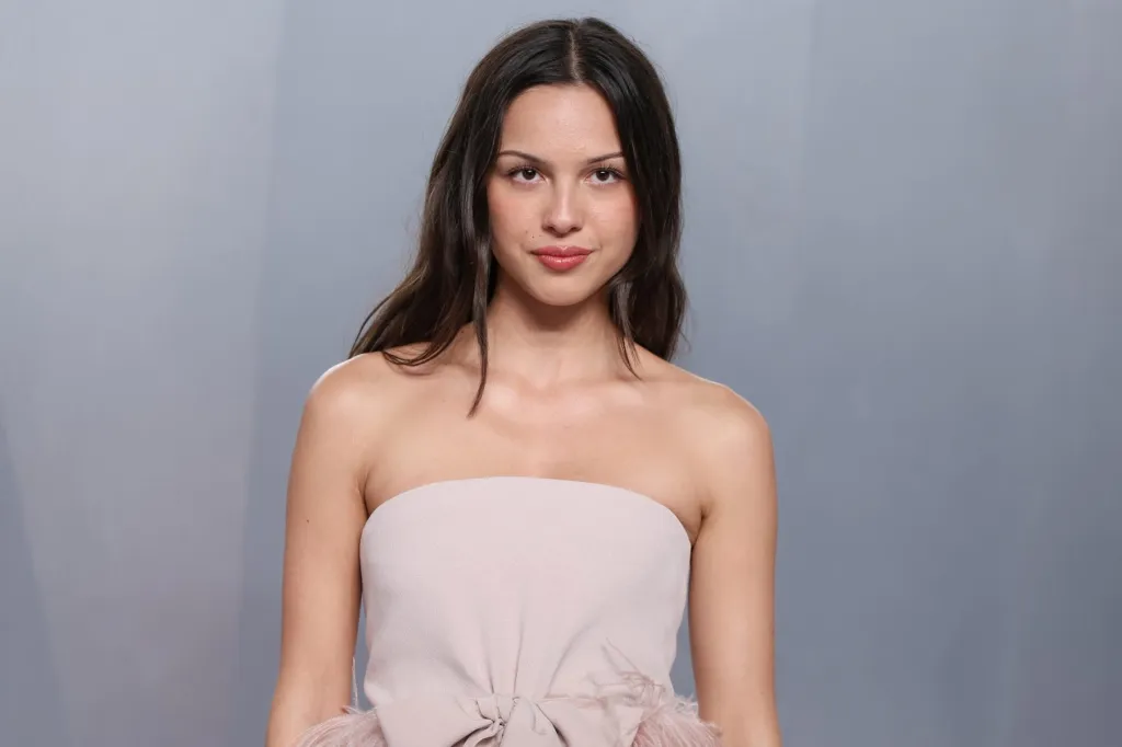 Olivia Rodrigo Calls DHS Using Her Music for ICE Video 'Dystopian'