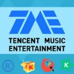 Tencent Music Stock Plummets Despite Solid Q4 2025 Earnings