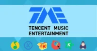 Tencent Music Stock Plummets Despite Solid Q4 2025 Earnings