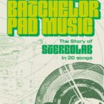 The Stereolab story in twenty songs