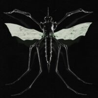 Wax Head: GNAT - Album Review