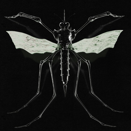 Wax Head: GNAT - Album Review