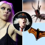 A Second Wild Animal Has Bitten Taylor Momsen on AC/DC Tour