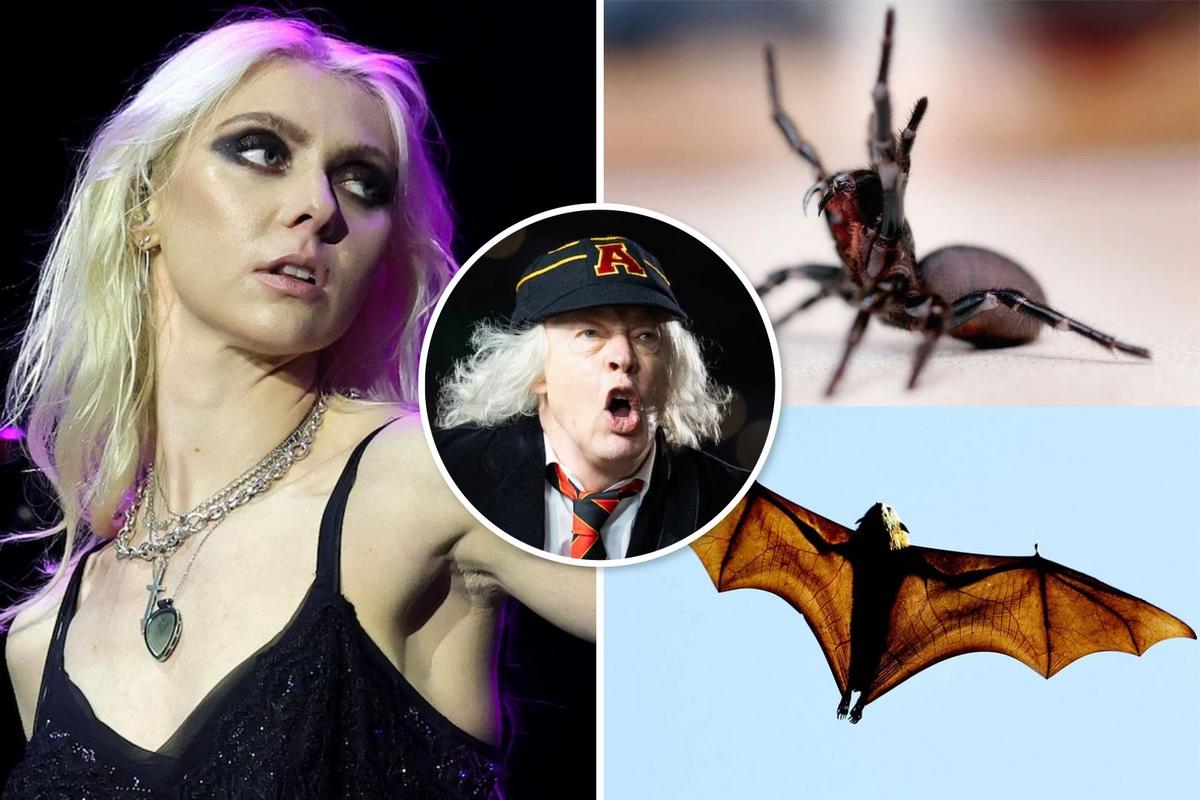 A Second Wild Animal Has Bitten Taylor Momsen on AC/DC Tour
