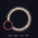 FM Experiment: Fly - Single Review