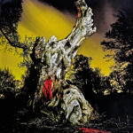 Real Farmer: Two Wrongs Don't Make A Right