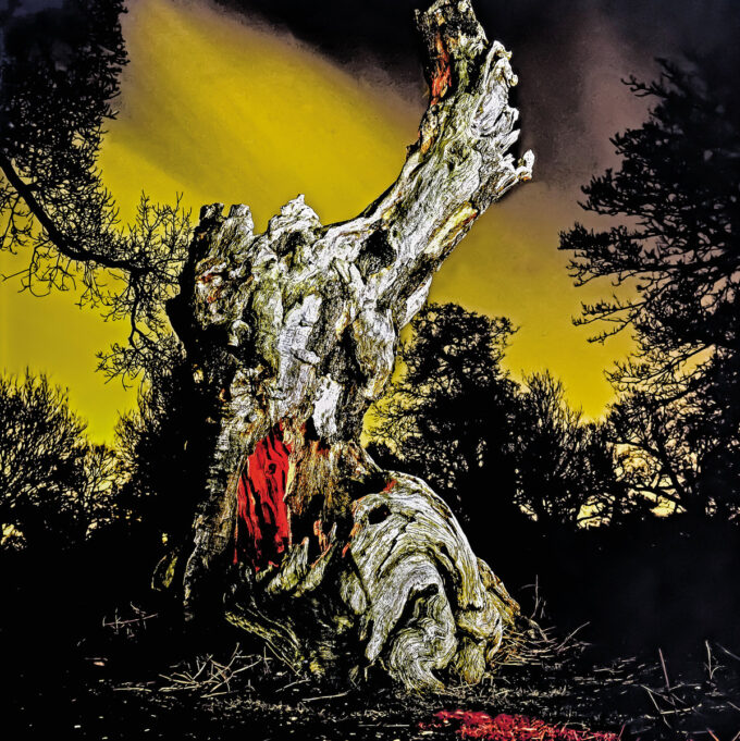 Real Farmer: Two Wrongs Don't Make A Right