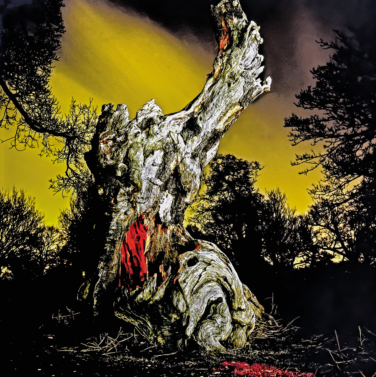 Real Farmer: Two Wrongs Don't Make A Right