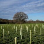 40 Songs for Arbor Day