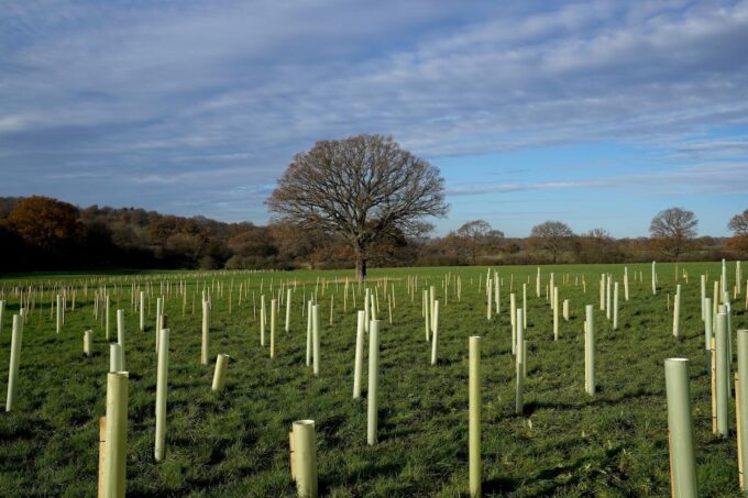 40 Songs for Arbor Day