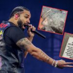 Drake Fans Sell Ice Chunks, Signs From Rapper's Iceman Structure