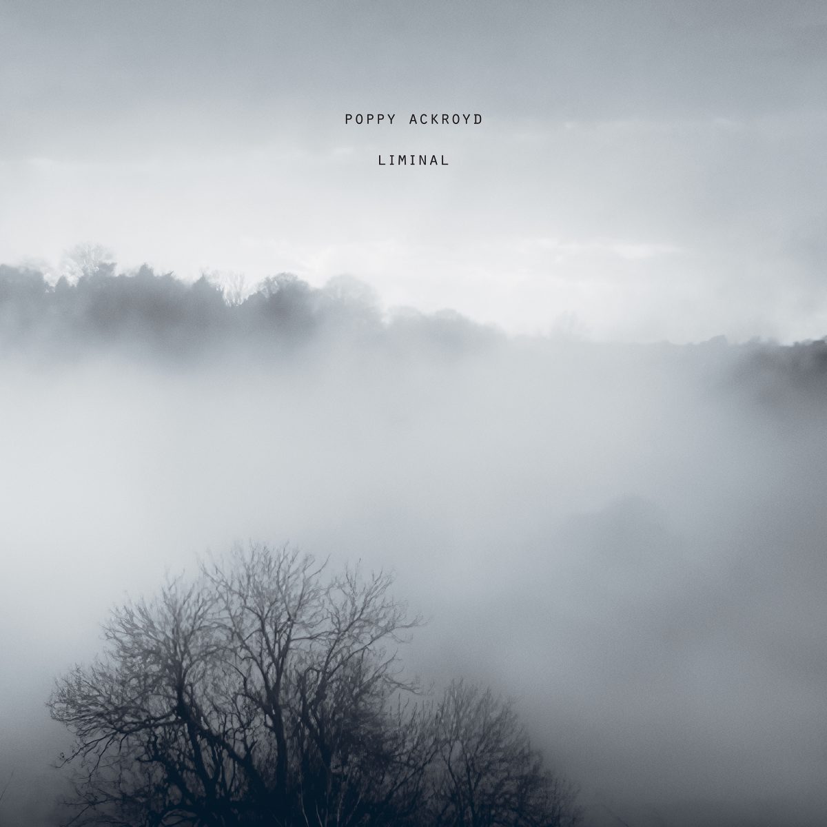 Poppy Ackroyd: Liminal - Album Review