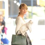 Singers & Rappers Who Are Cat Lovers