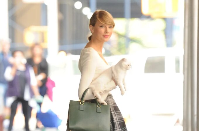 Singers & Rappers Who Are Cat Lovers