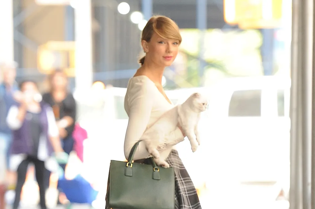 Singers & Rappers Who Are Cat Lovers