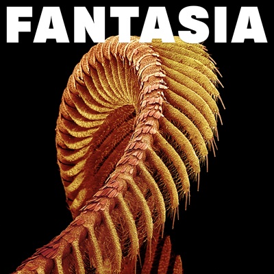 Slift: Fantasia - Album Review
