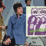 What Did Kinks Really Think of Van Halen's 'You Really Got Me'?